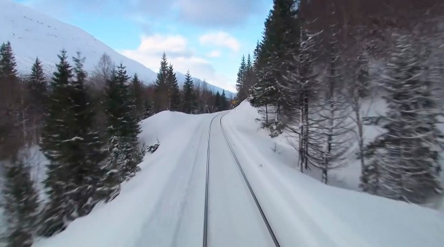 NordicTracks