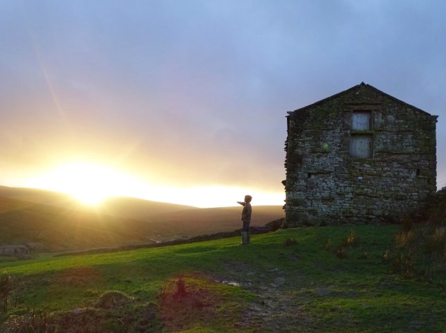 screen-shot-2016-09-16-at-2-36-11-pm