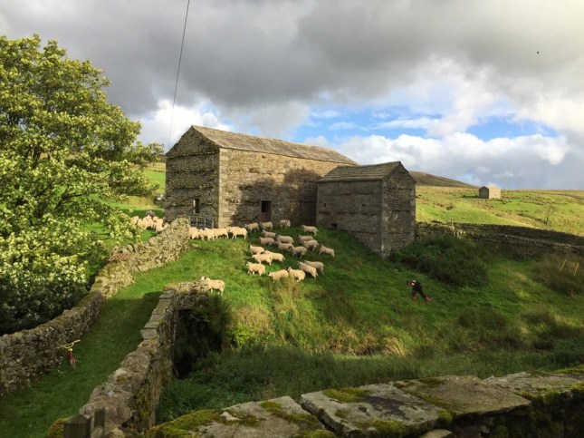 screen-shot-2016-09-16-at-2-38-23-pm