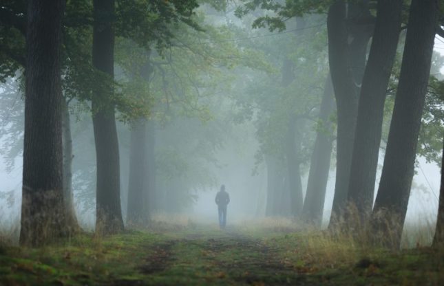 Person-walking-alone-in-woods-800x516